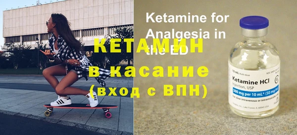 прущие грибы Краснослободск