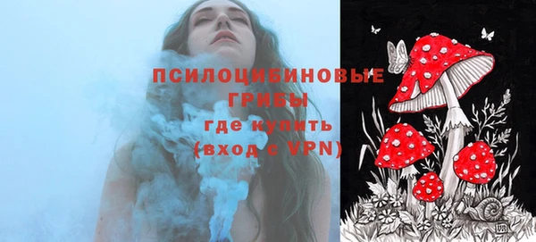 ALPHA-PVP Аркадак