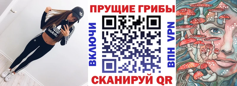 Галлюциногенные грибы Psilocybine cubensis  Егорьевск 